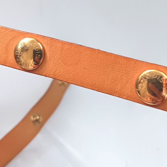 Louis Vuitton ✨️EUC Pochette Florentine Bumbag THE PERFECT BUMBAG - Picture 9 of 17